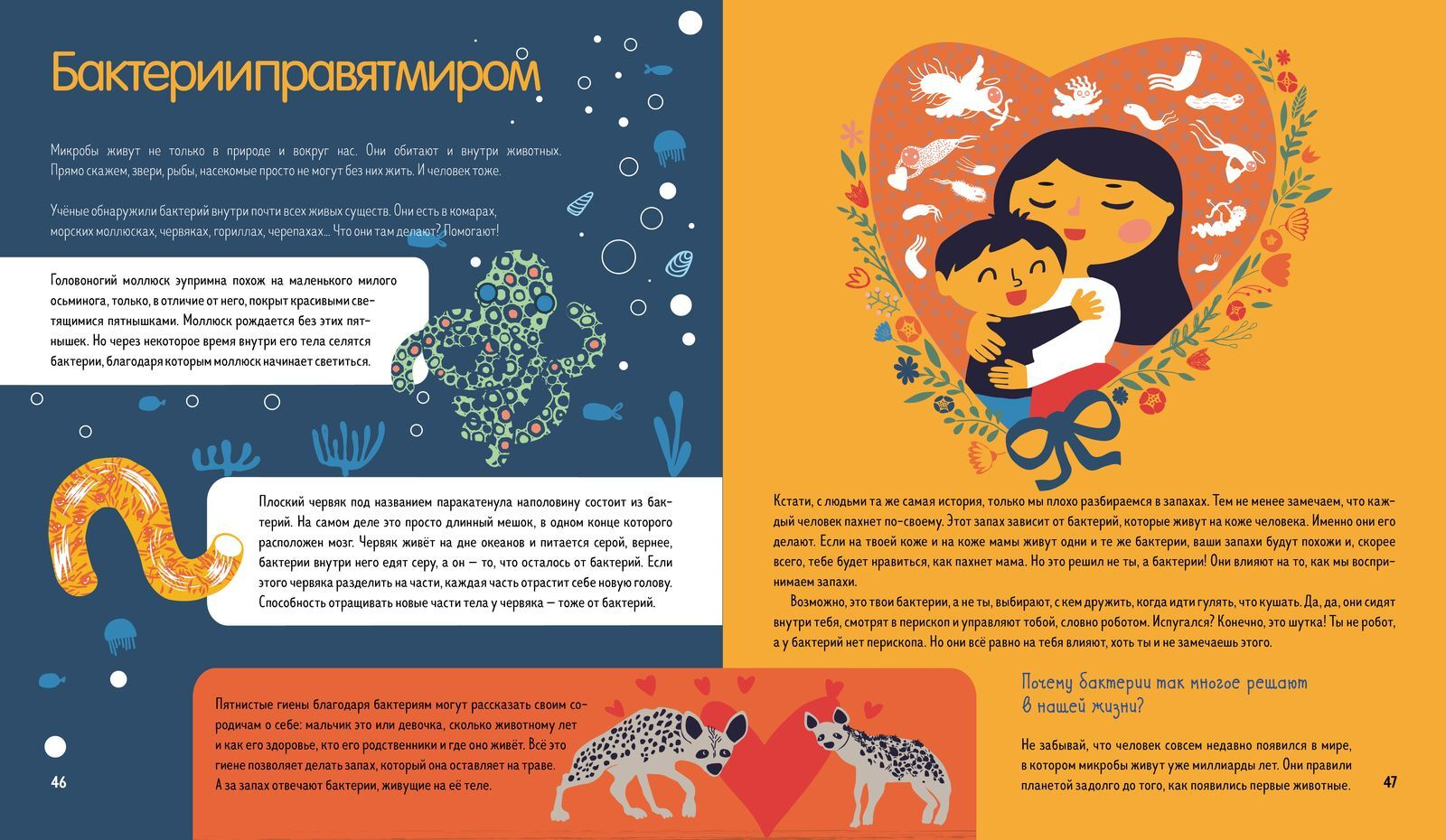 Иллюстрация из книги