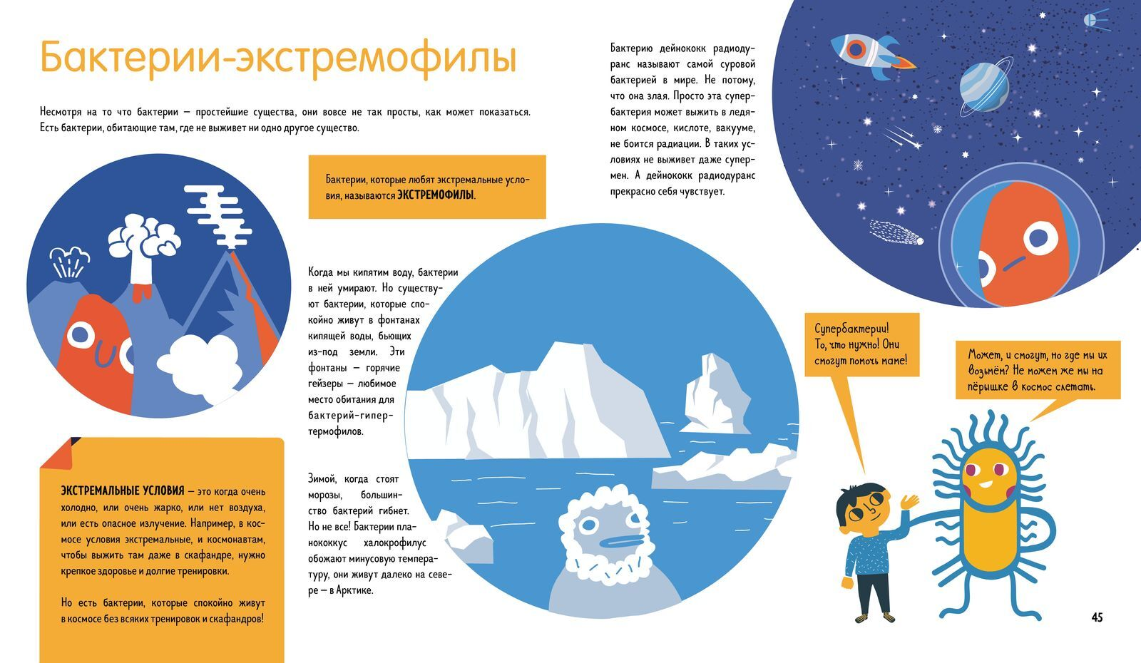 Иллюстрация из книги