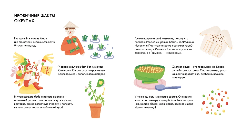 Развороты из книги