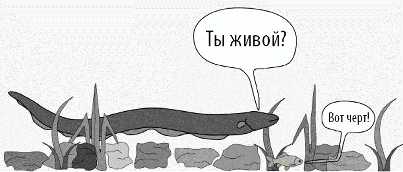 Иллюстрация из книги