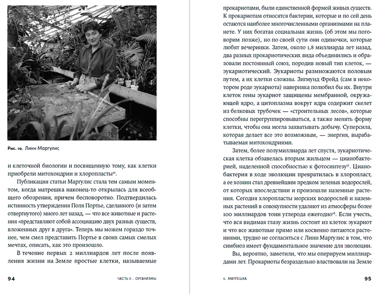 Иллюстрация из книги