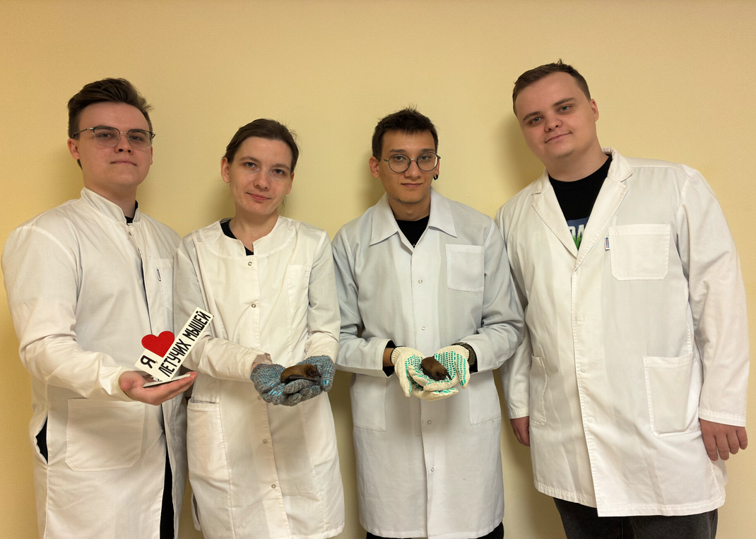 Коллектив Центра реабилитации рукокрылых Института живых систем ДГТУ