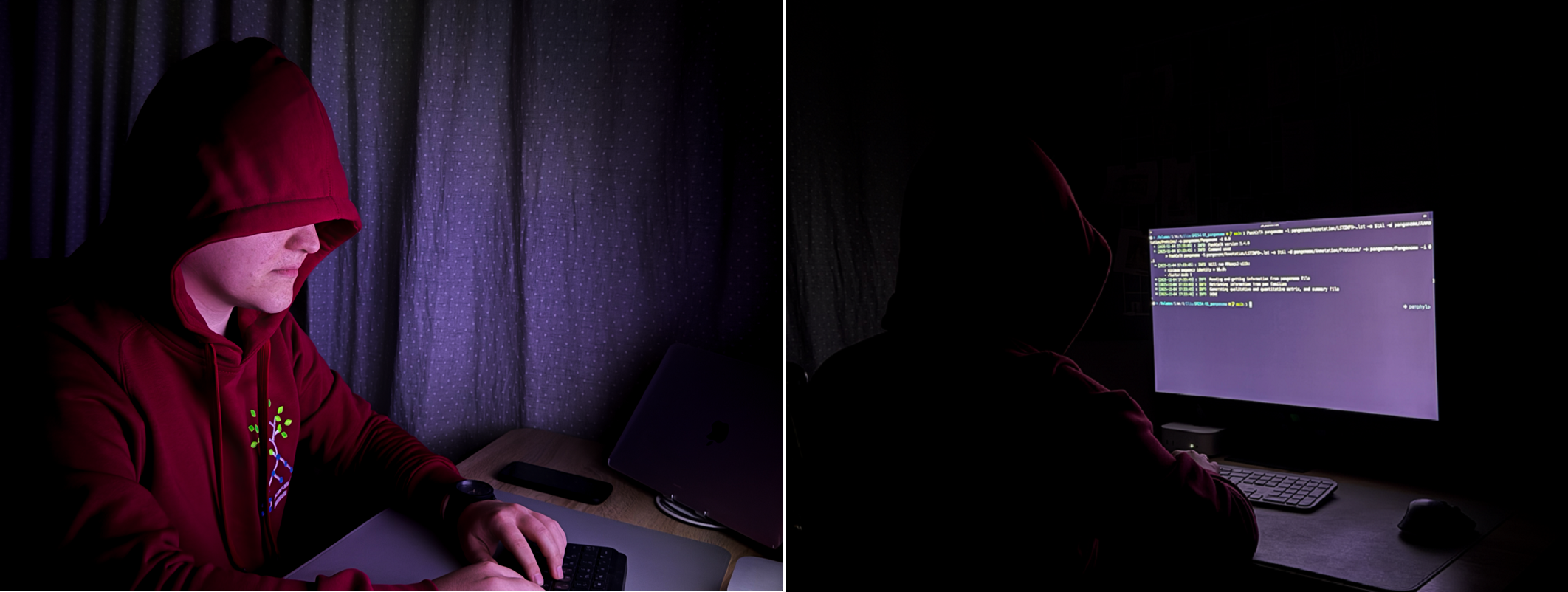 Проведение биоинформатического анализа данных