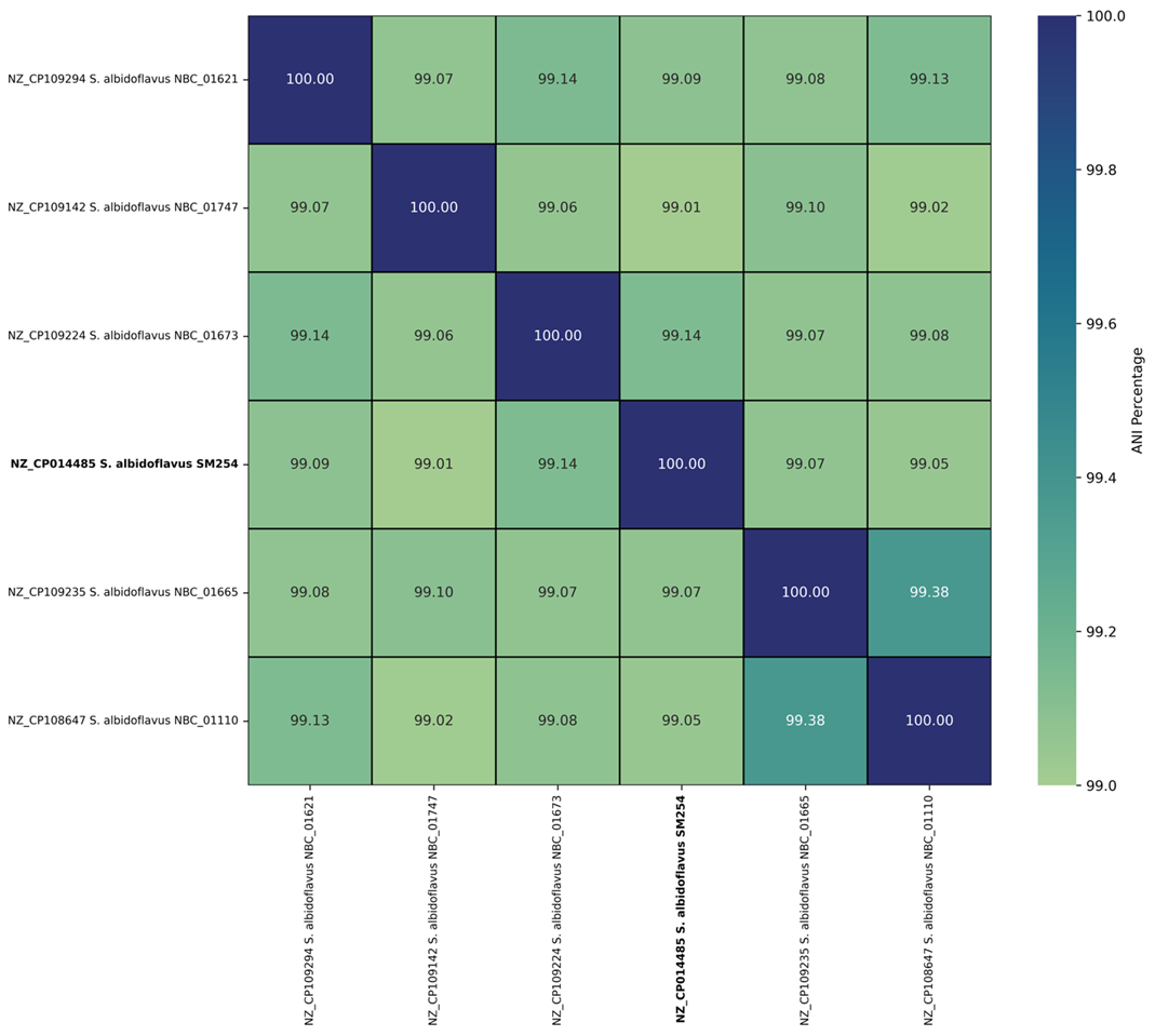 Средняя парная идентичность нуклеотидов (ANI) в геномах Streptomyces albidoflavus