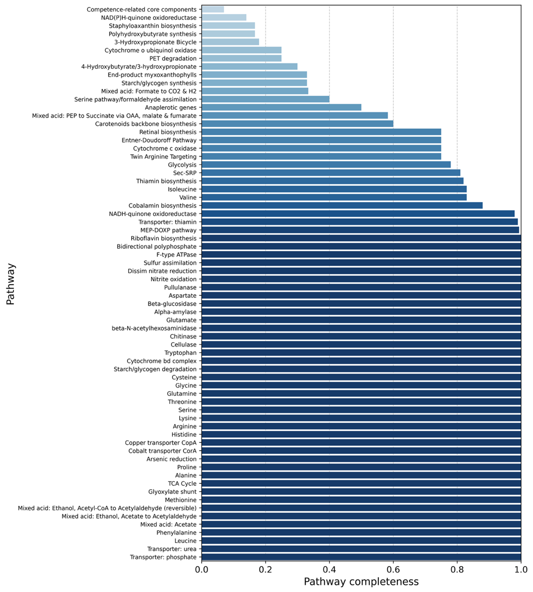 Полнота функциональных путей в Streptomyces albidoflavus SM254