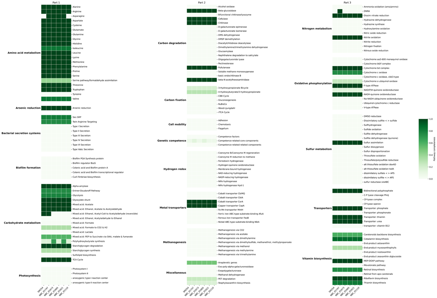 Вариации в полноте функциональных путей среди штаммов Streptomyces albidoflavus