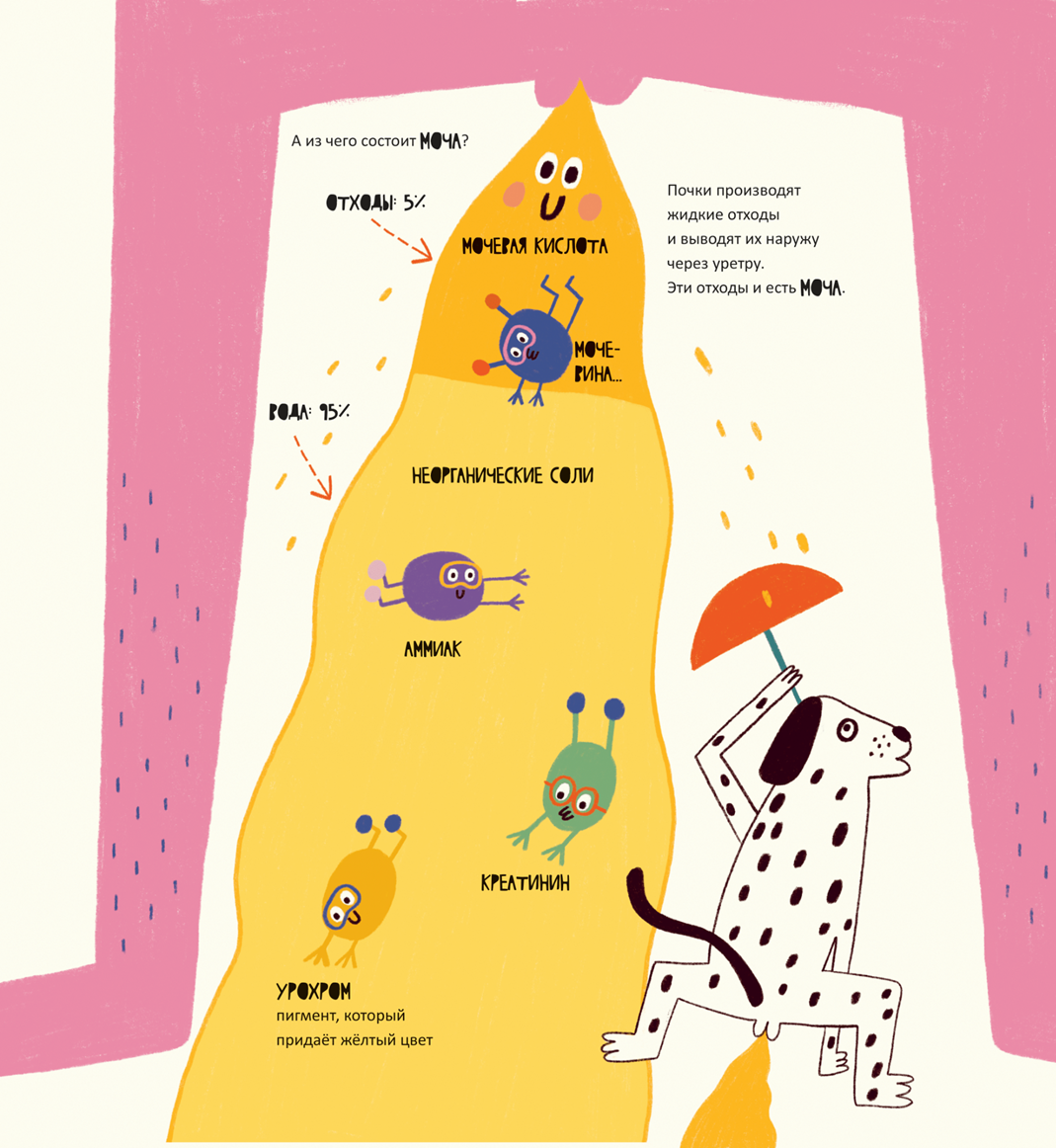 Иллюстрация из книги