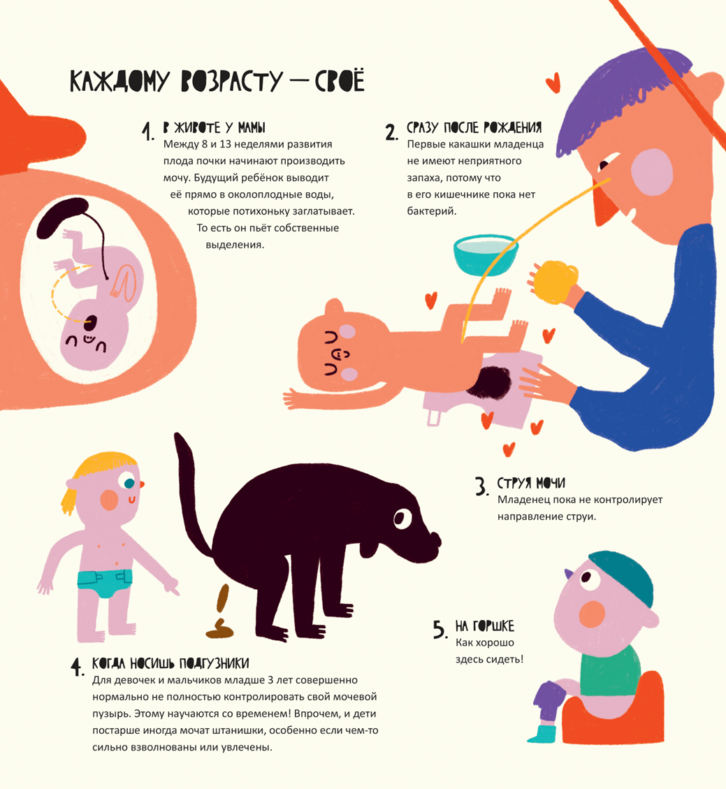 Иллюстрация из книги