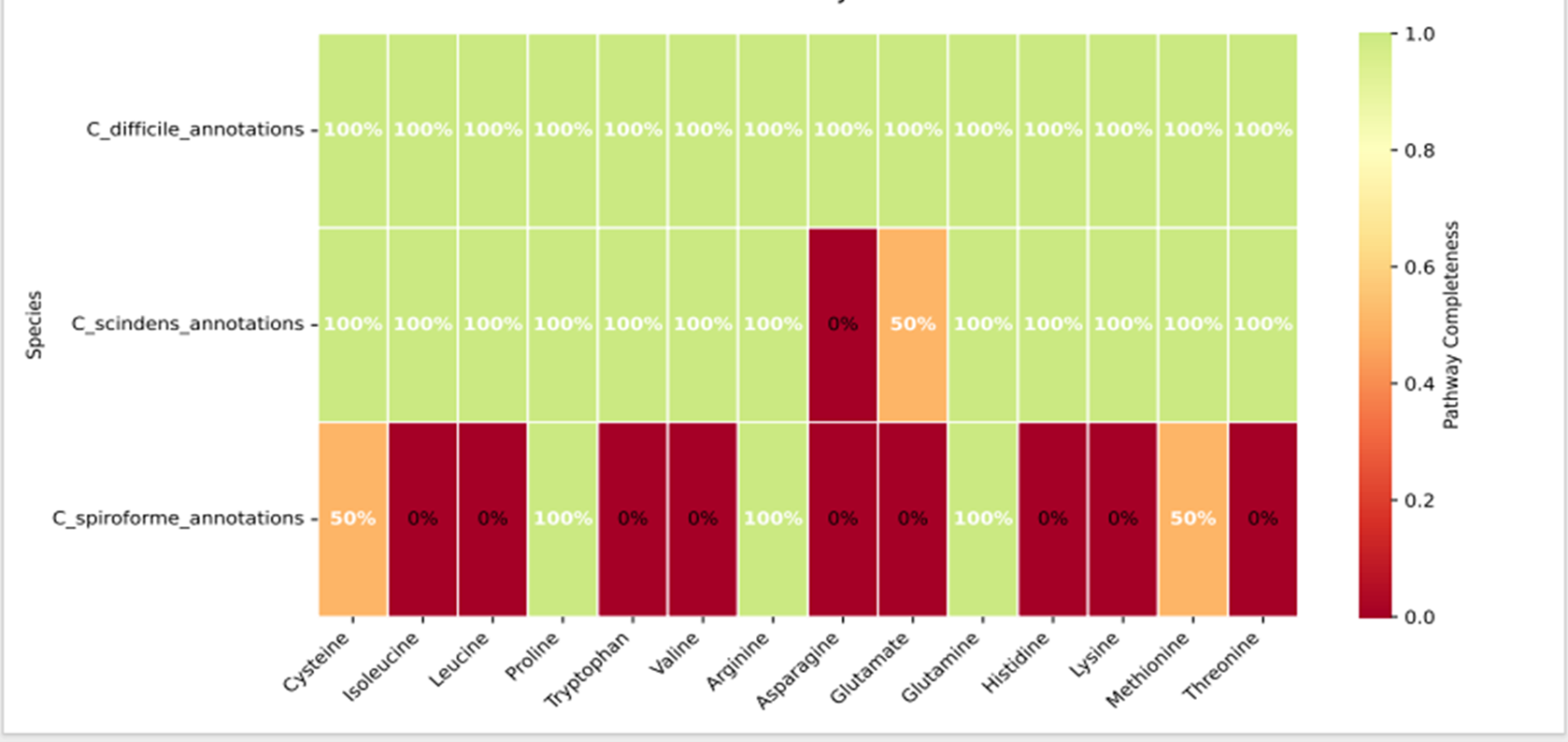 Тепловая карта перекрытия метаболического потенциала протестированных геномов в отношении набора 14 аминокислот