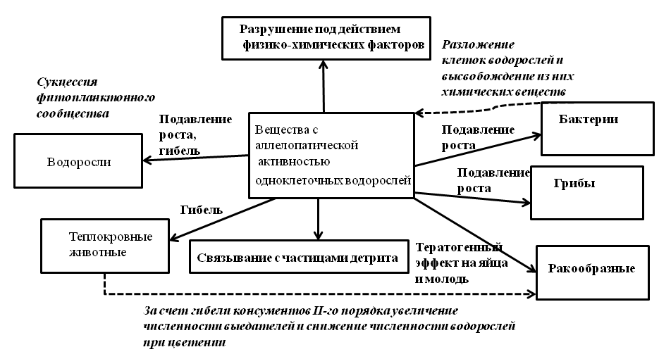 ИРоль веществ с аллелопатической активностью, выделяемых одноклеточными водорослями, в экосистемах