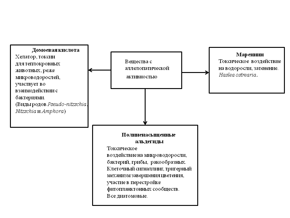 Вещества с аллелопатической активностью у диатомовых