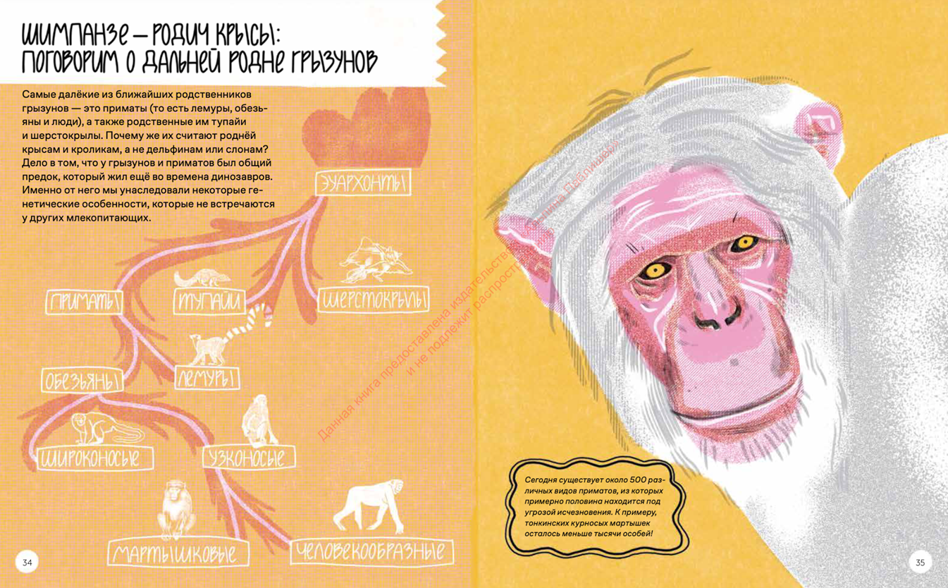 Иллюстрация из книги Иллюстрация из книги