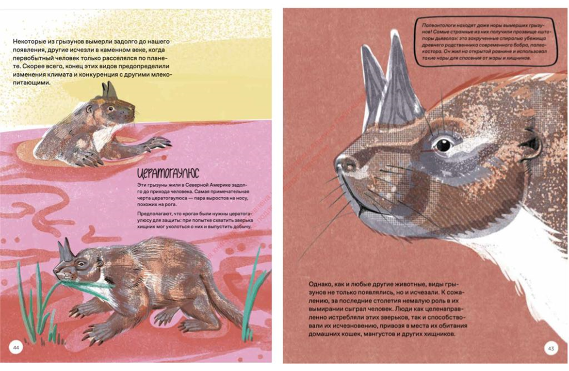 Иллюстрация из книги Иллюстрация из книги