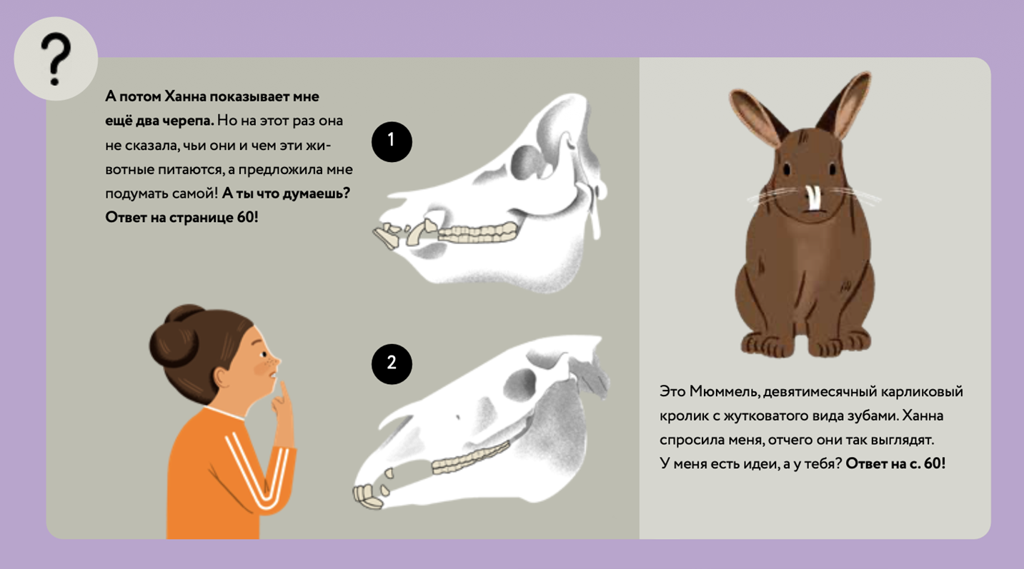 Иллюстрация из книги