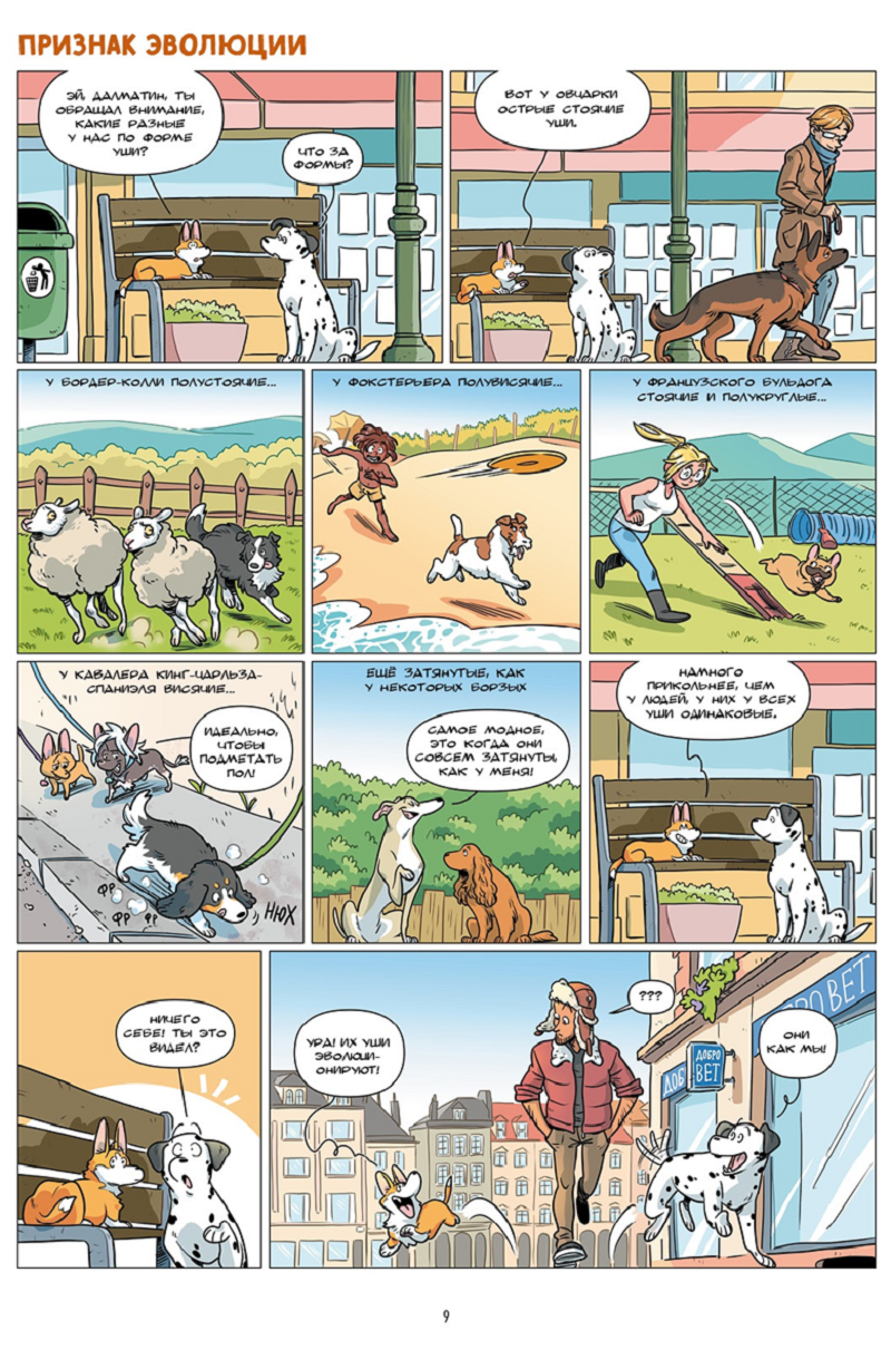 Иллюстрация из книги