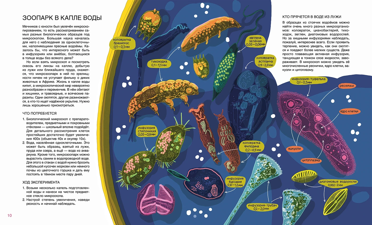 Иллюстрация из книги