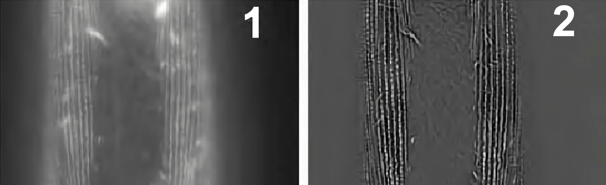 Предварительная обработка изображения