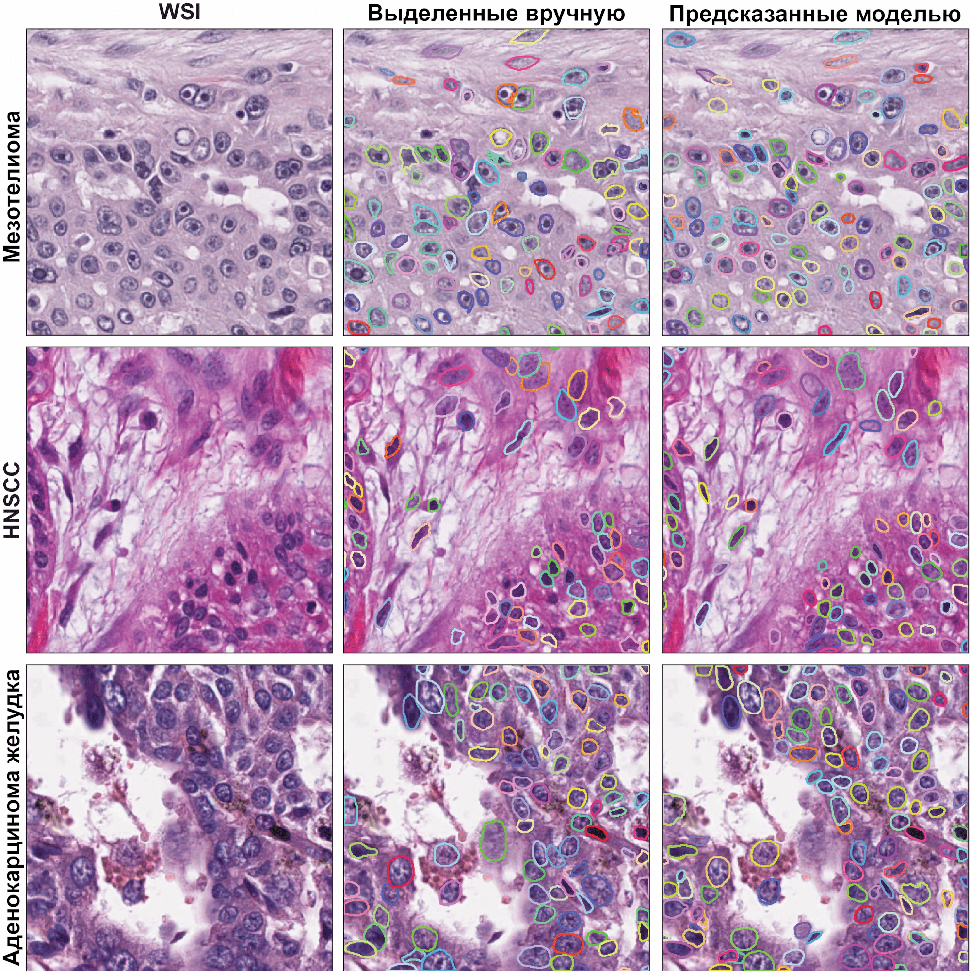 Визуализация работы модели компьютерного зрения