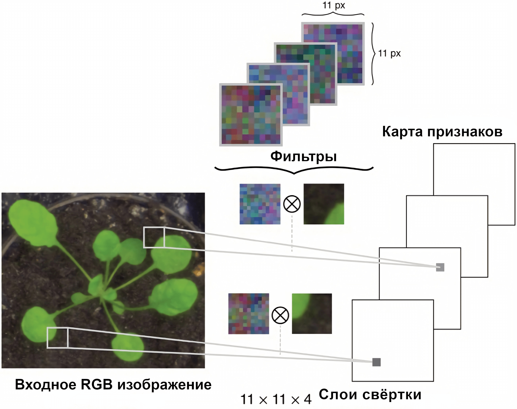 Пример фильтров в первом сверточном слое сети