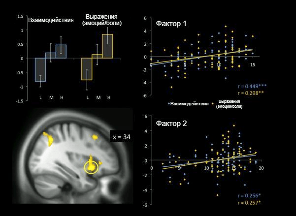 Реакция мозга на сцены чужой боли у людей с разным уровнем психопатии