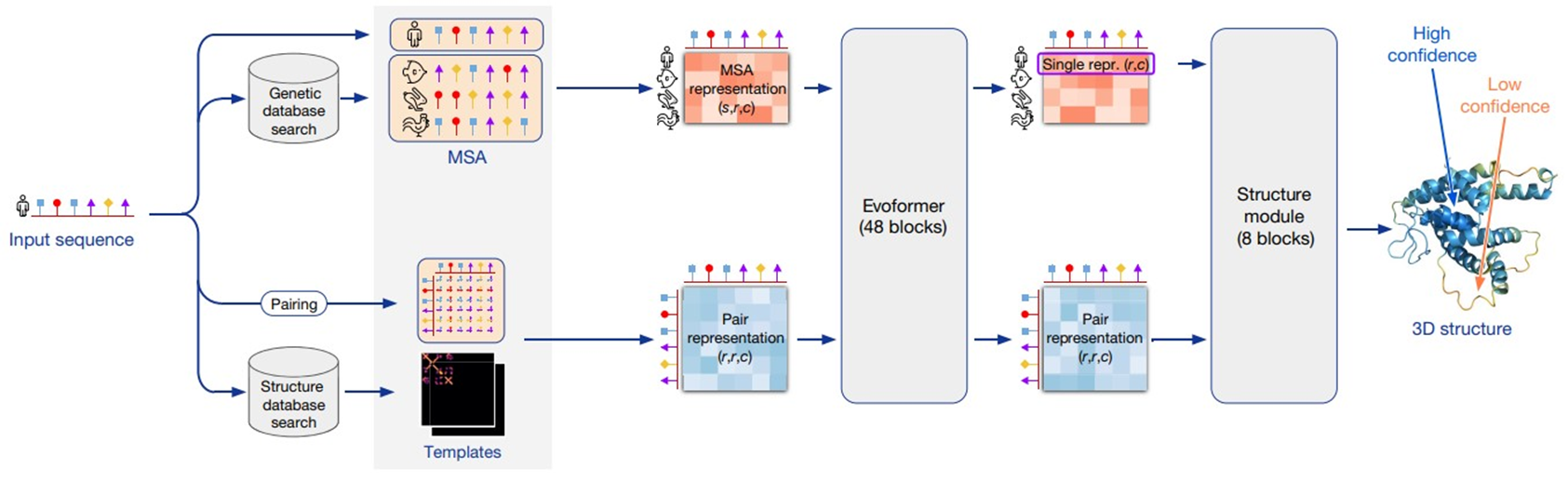 Устройство AlphaFold2