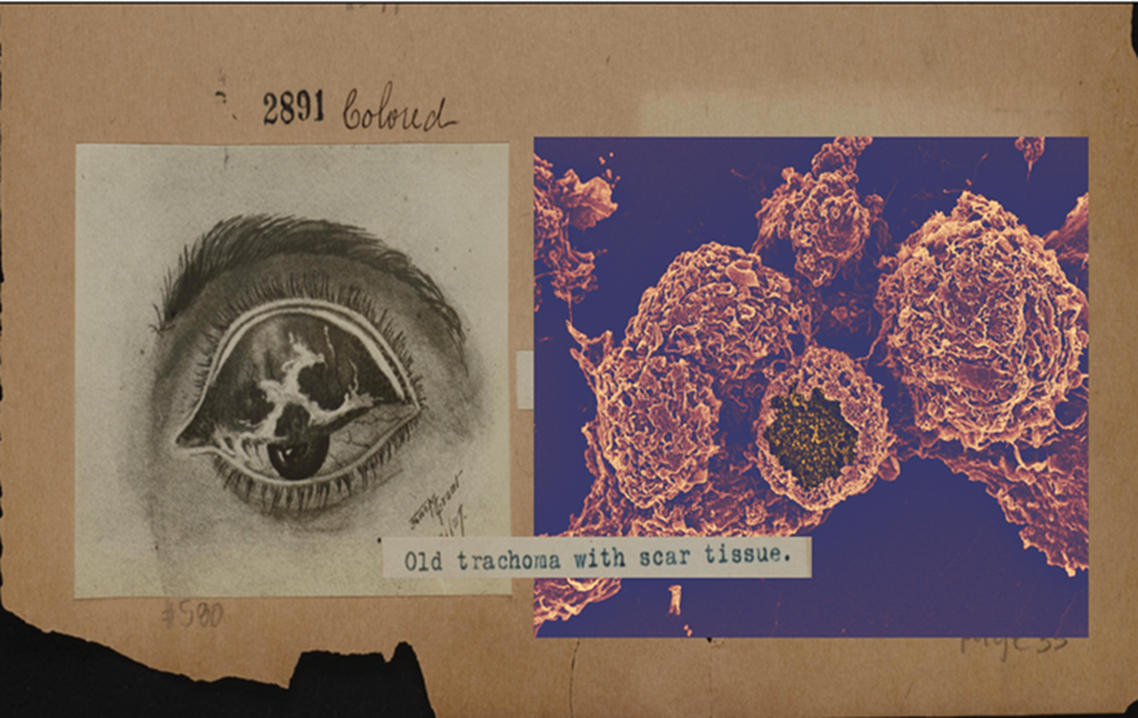 Иллюстрация из книги