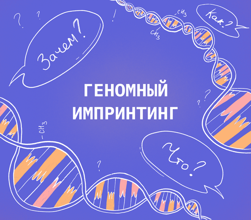 Иллюстрация из книги