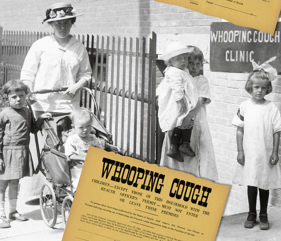 Иллюстрация из книги