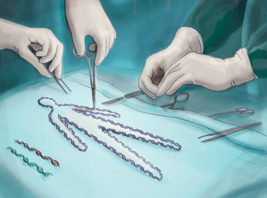 Иллюстрация из книги