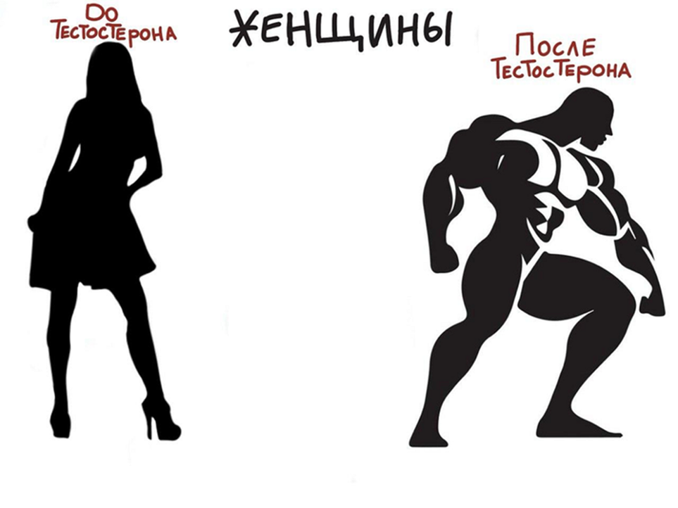 Иллюстрация из книги