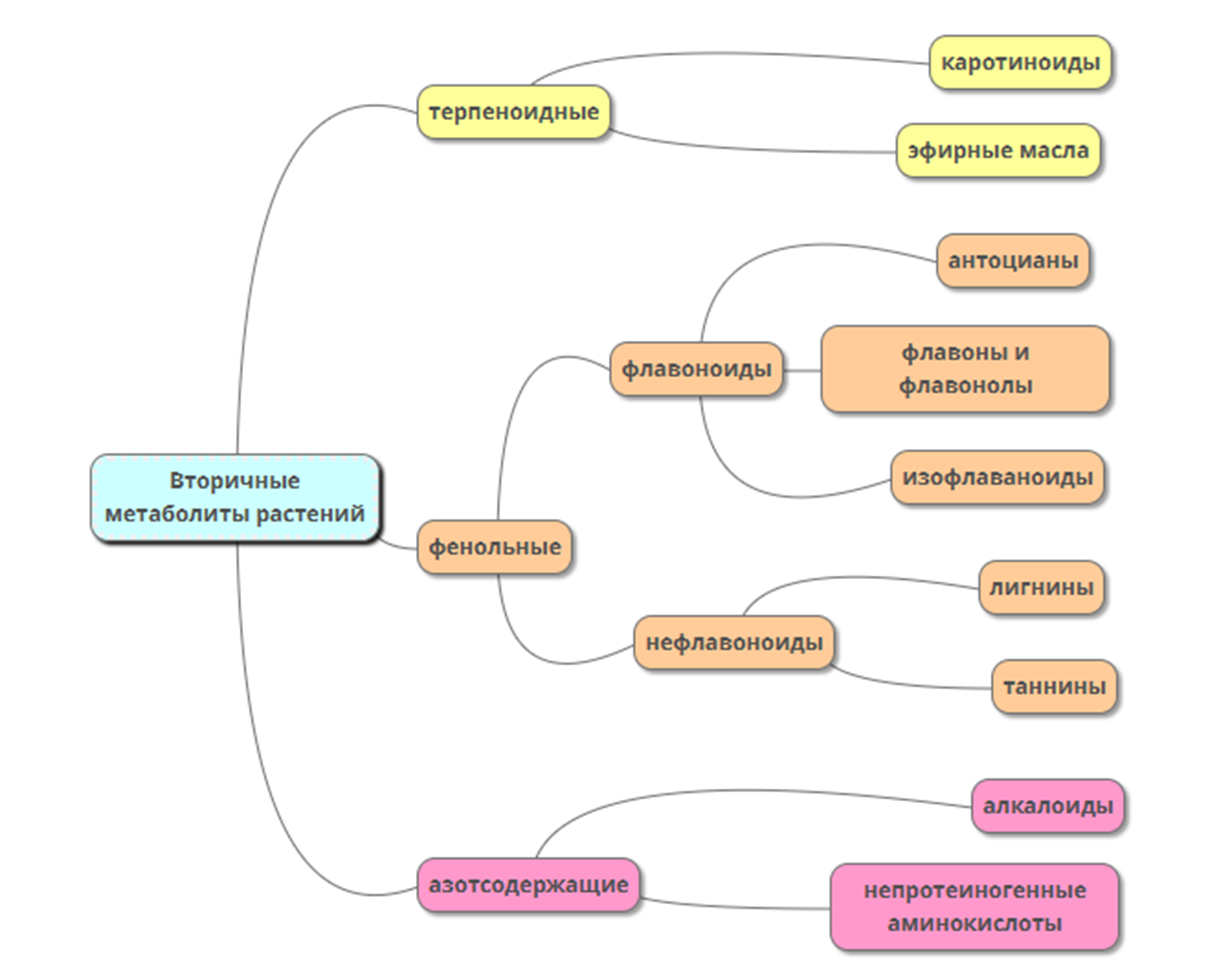 Классификация вторичных метаболитов растений, представленных в тексте главы 1