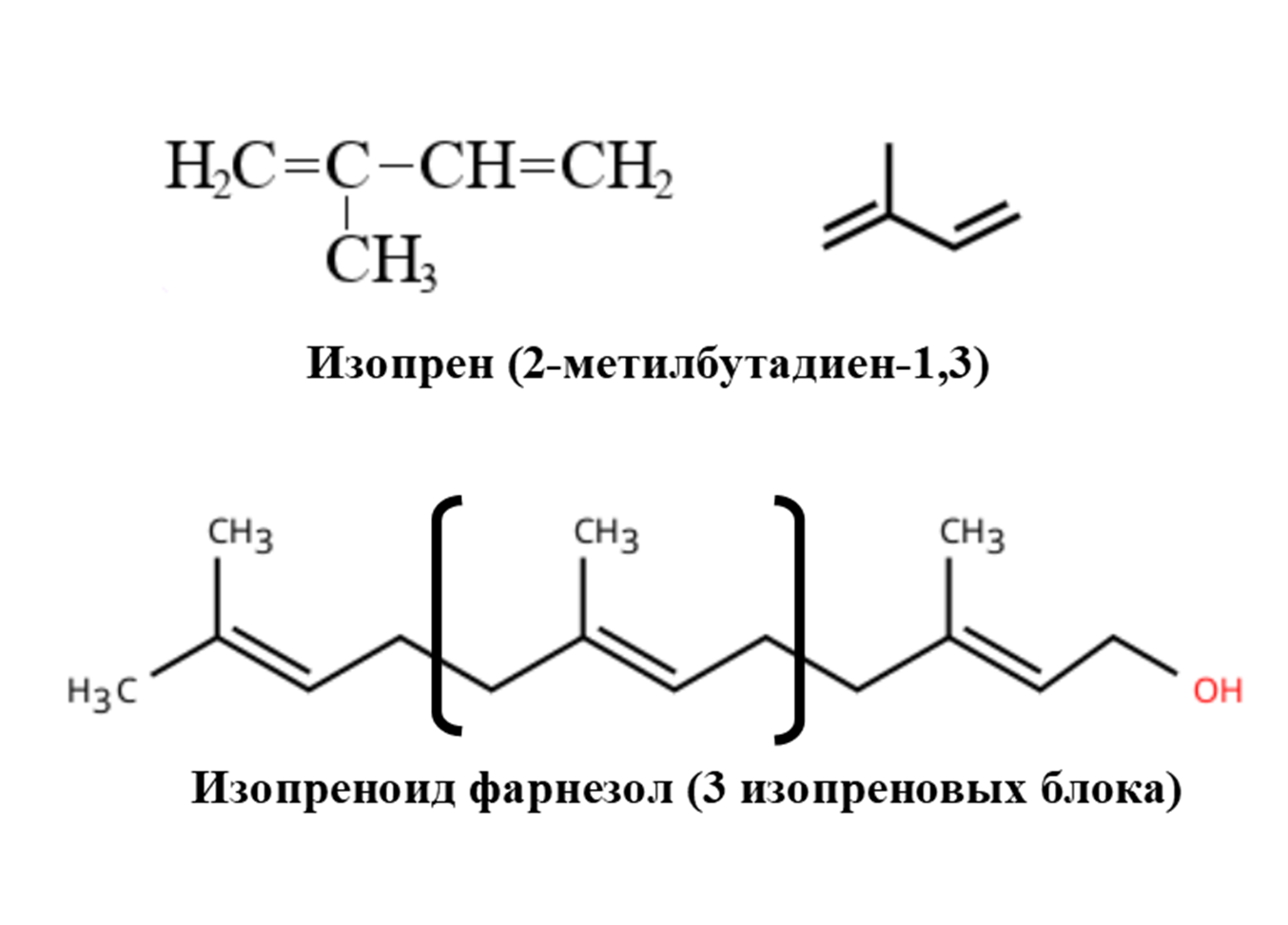 Формулы изопрена и спирта фарнезола (пример изопреноида)