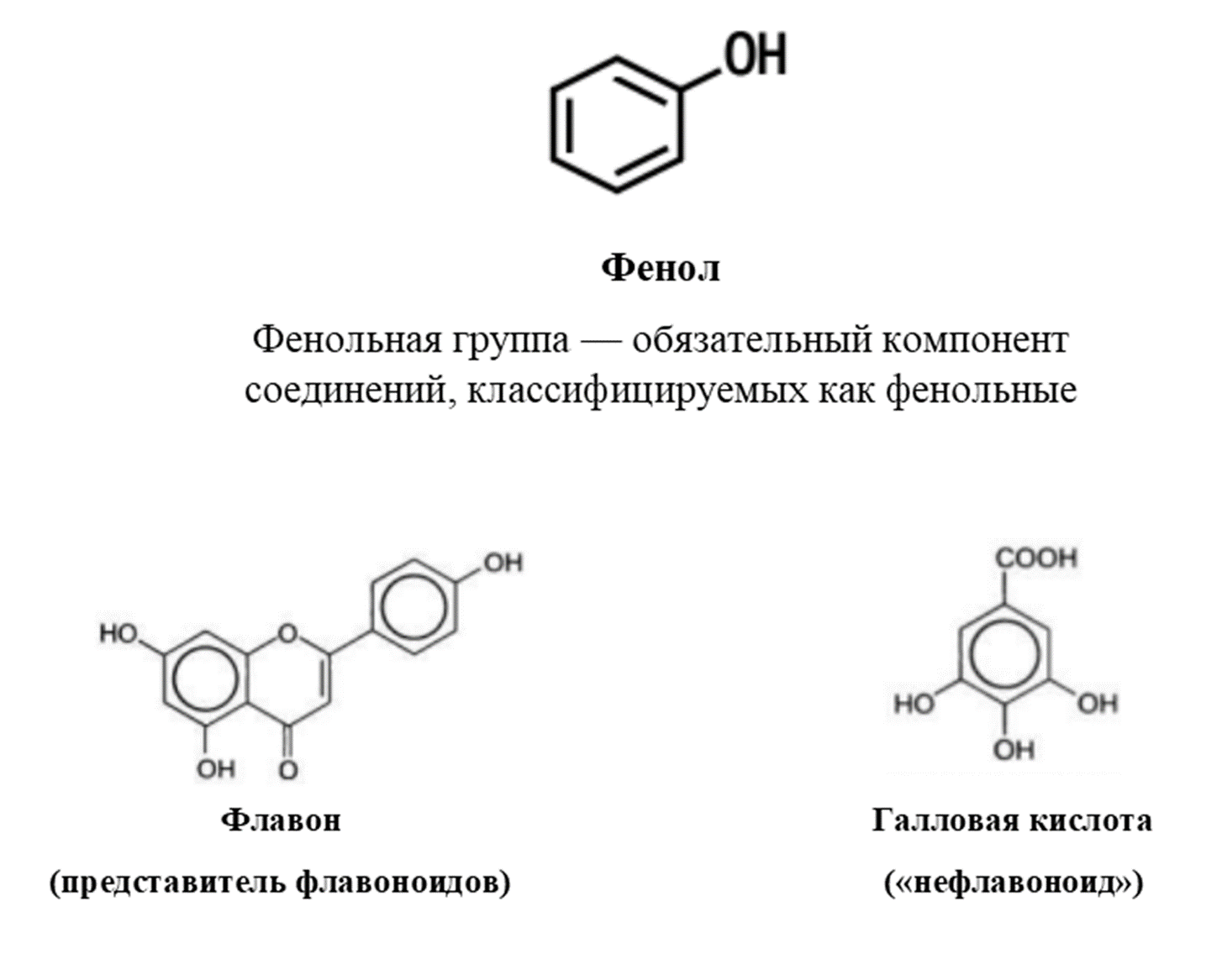 Фенольные соединения