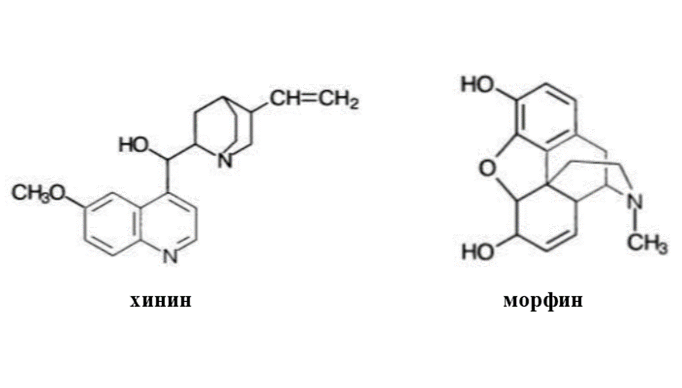 Типичные алкалоиды содержат атом азота в гетероцикле