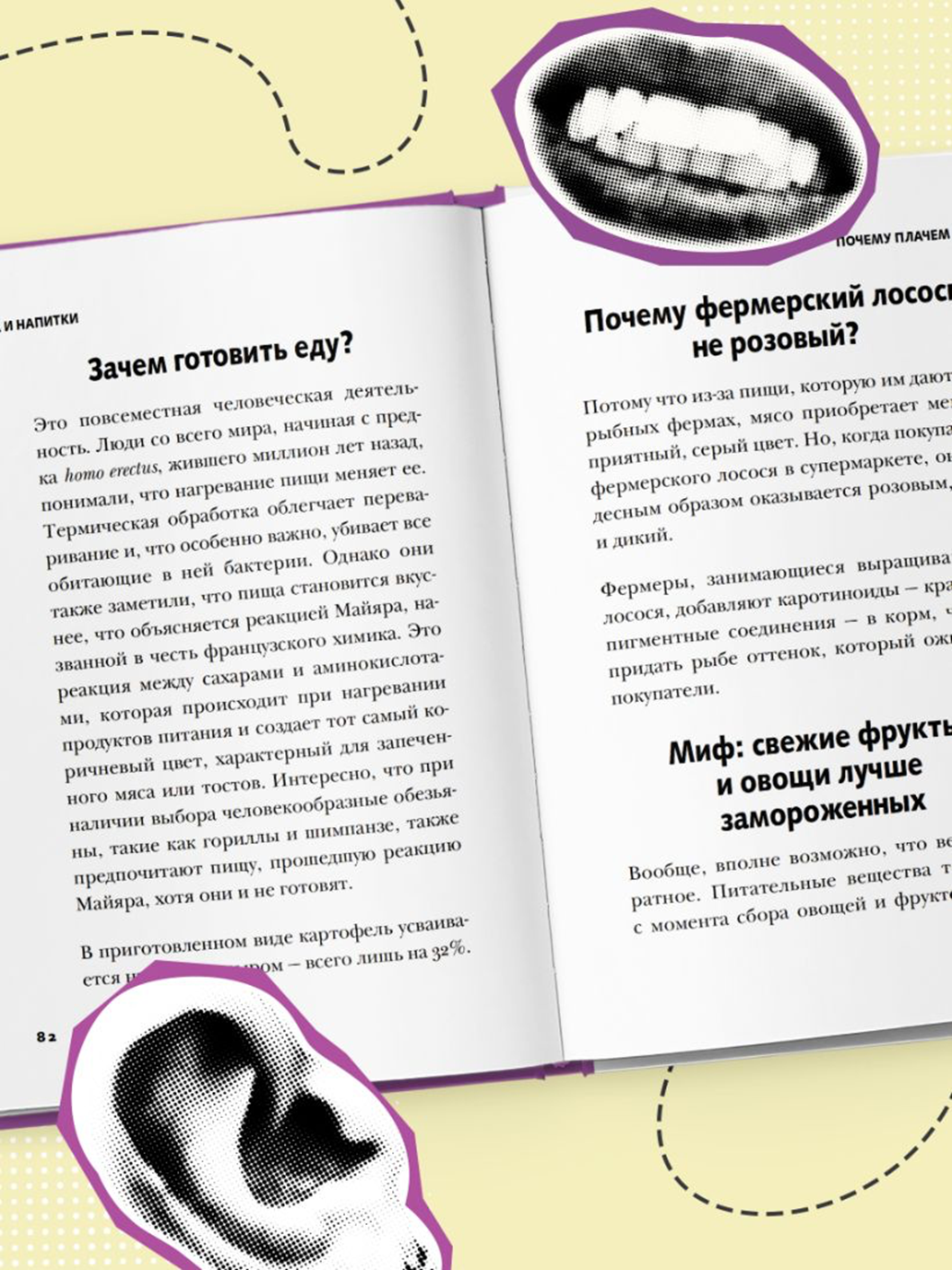 Иллюстрация из книги