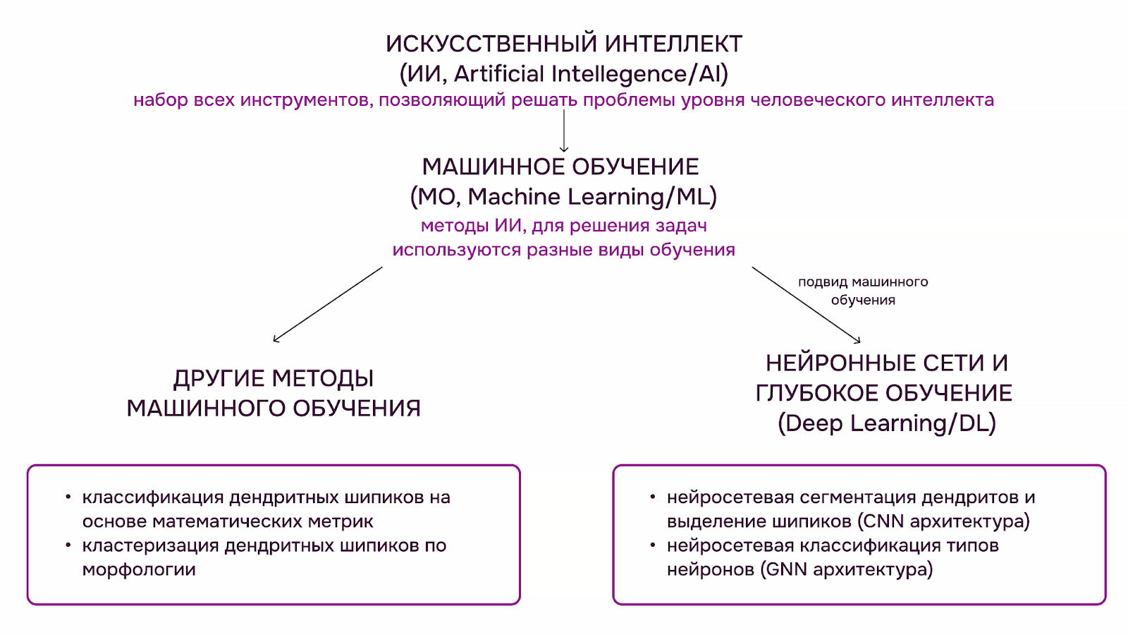 Обзор общих понятий машинного обучения и их взаимосвязей, примеры применения к анализу дендритных шипиков и нейронов