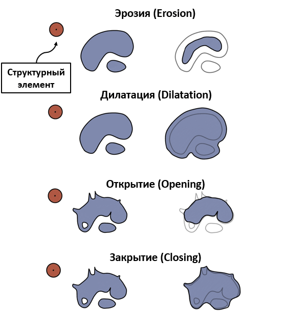Морфологические операции над бинарной маской клетки