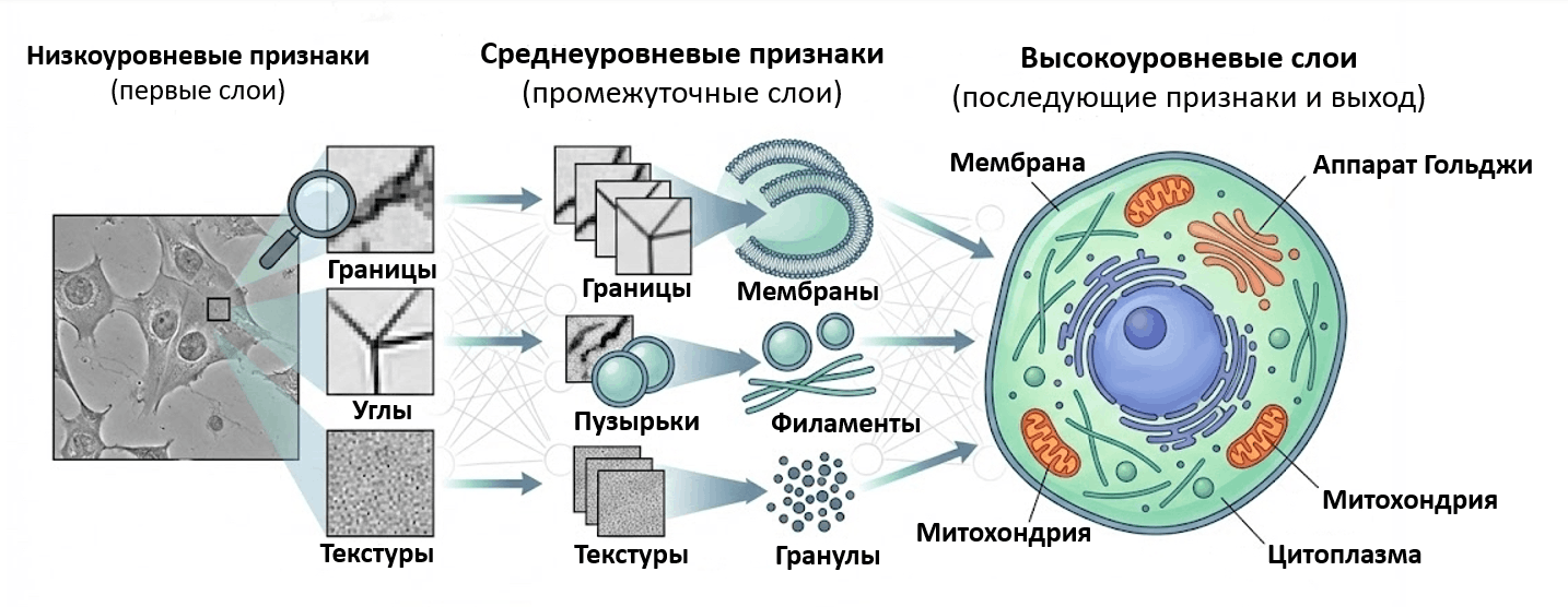 Схема работы СНС