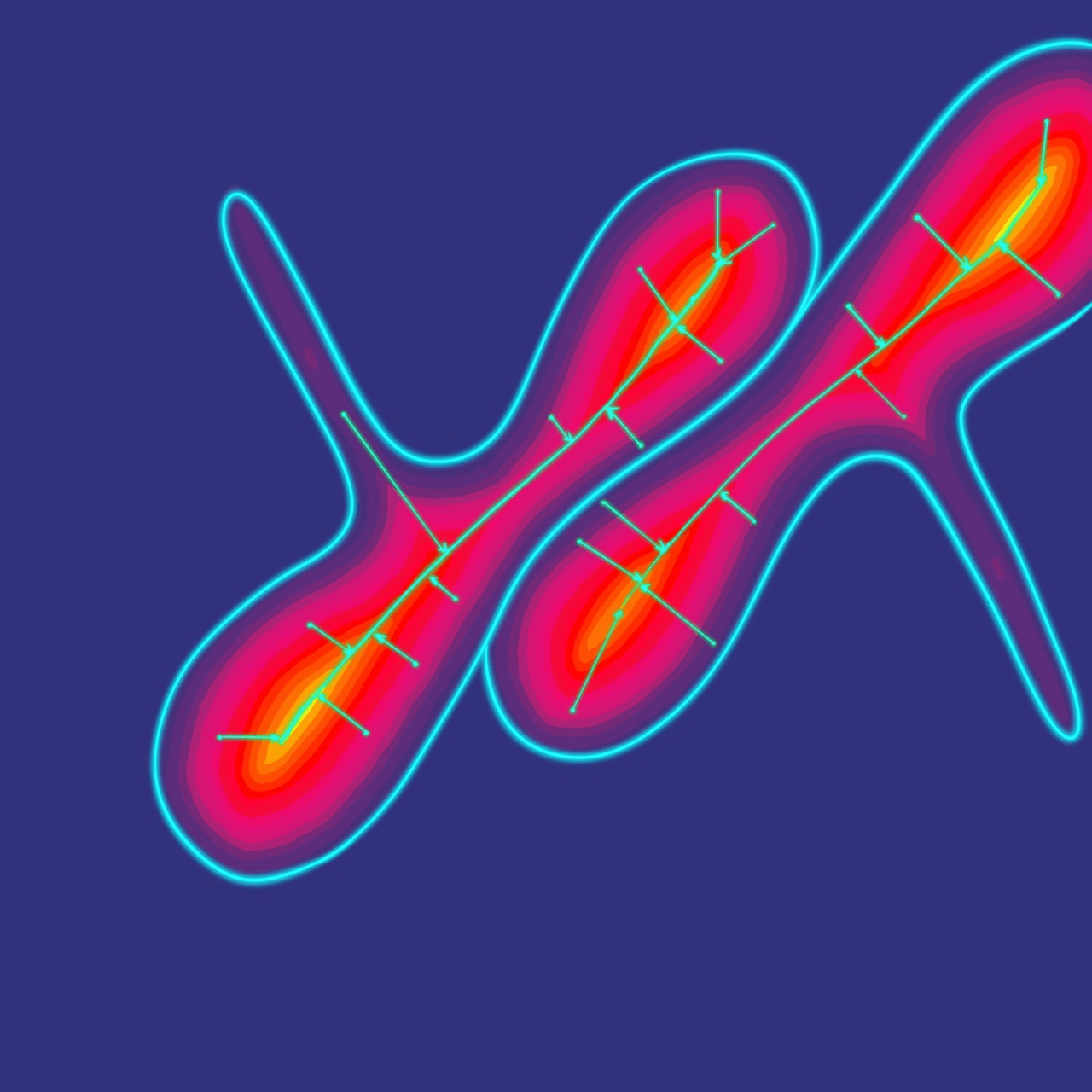 Карта расстояний и «хребет» клетки сложной формы в модели Omnipose