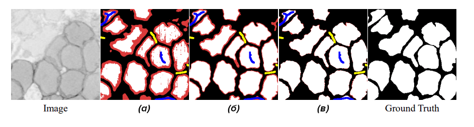 Итеративное обучение сети Scribble2Label
