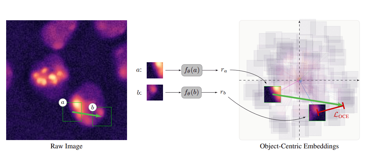 Процесс самостоятельного обучения нейросети распознавать объекты на изображении