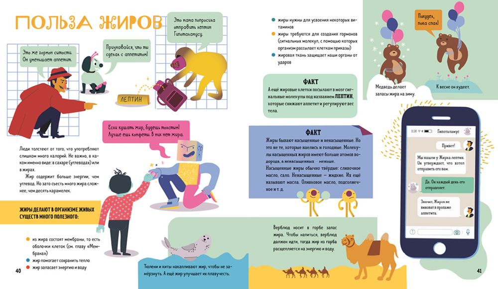 Иллюстрация из книги