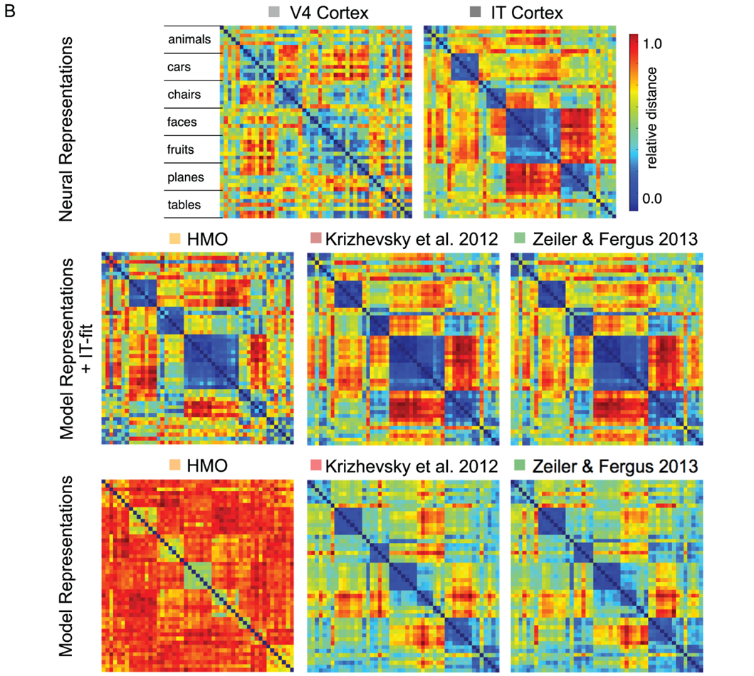 Матрицы репрезентативного несходства