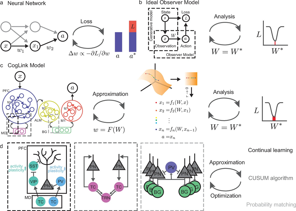 CogLink объединяет нейронные механизмы и алгоритмы для оптимизации параметров для выполнения сложных когнитивных задач