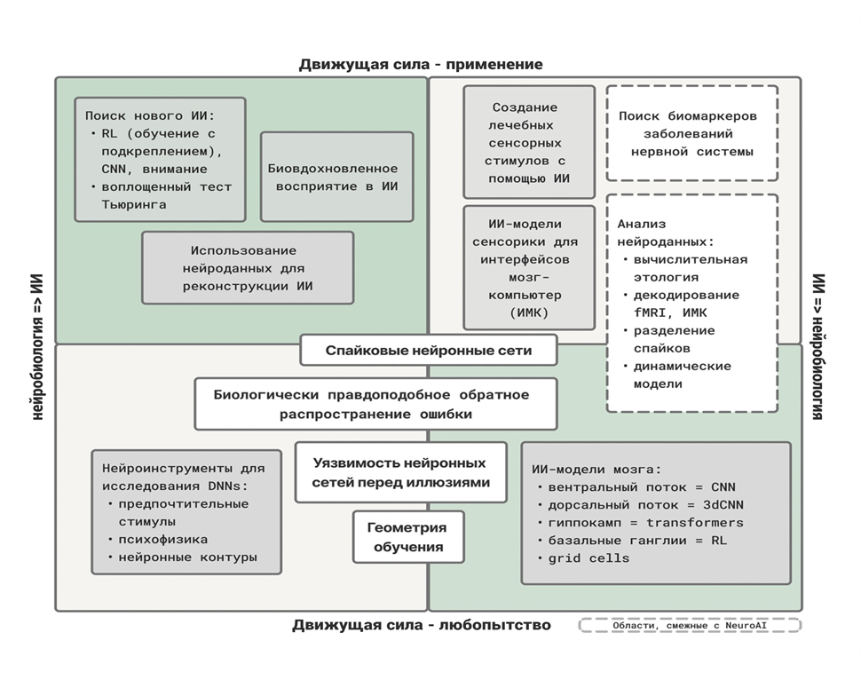 Карта основных направлений NeuroAI
