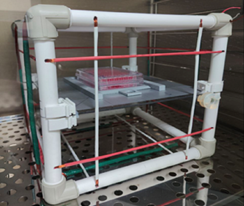 Система 3-осевых колец Гельмгольца, помещенная в СО2-инкубатор