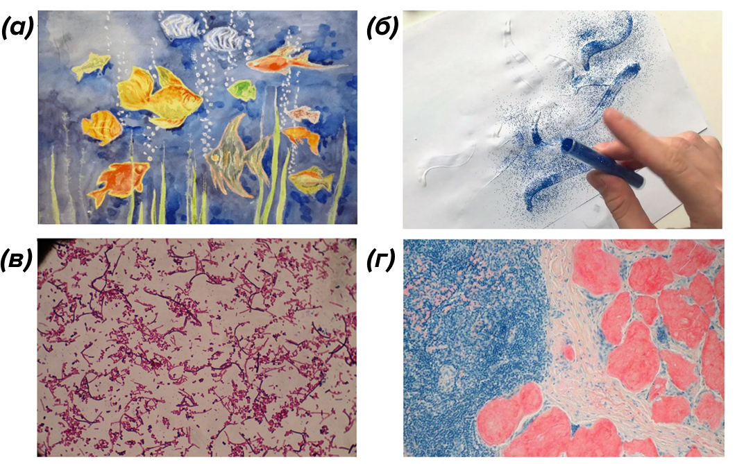 Различные типы окраски