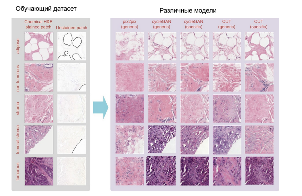 Как разные архитектуры справляются с непарным датасетом?