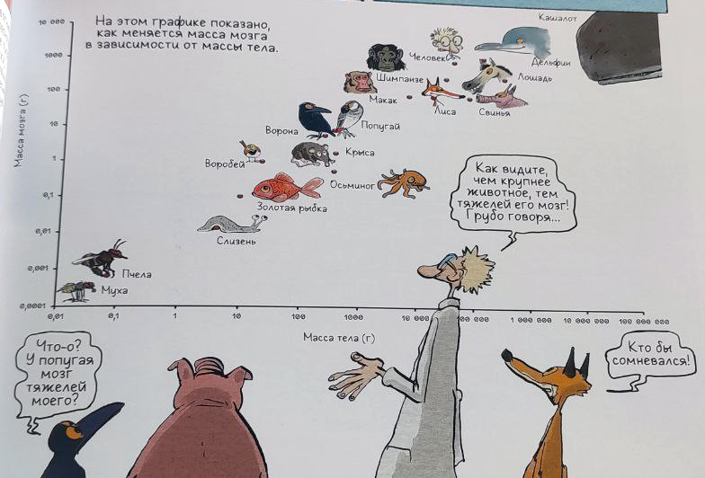 Иллюстрация из книги