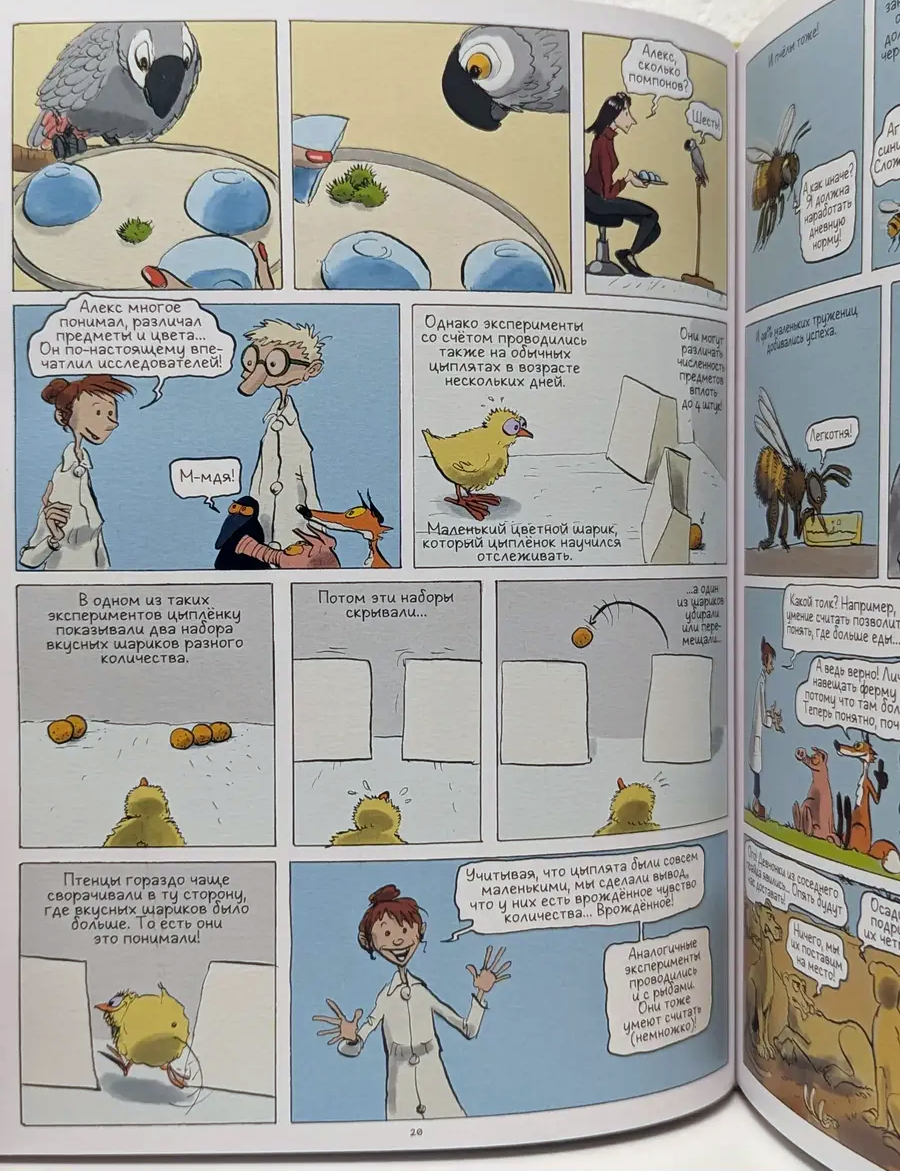 Иллюстрация из книги